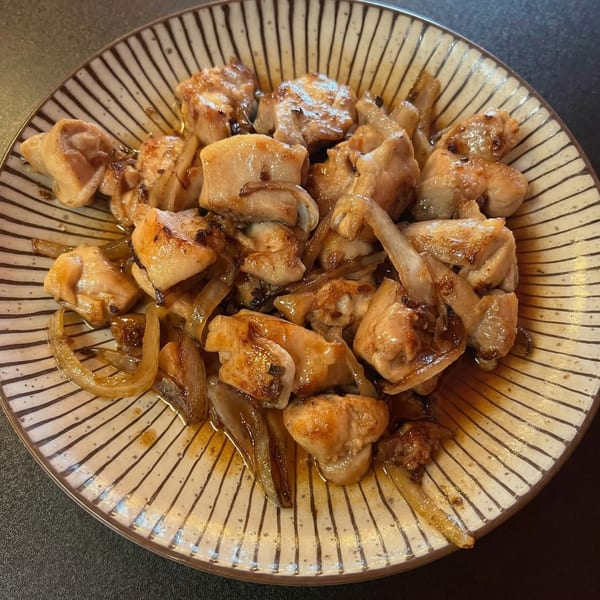 Close-up of chicken and onions in a savory sauce on a striped plate.